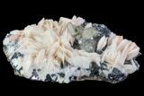 Cerussite Crystals with Bladed Barite on Galena - Morocco #98741-1